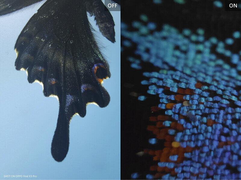 最大60倍の顕微鏡モード　遊びとして楽しめるかも