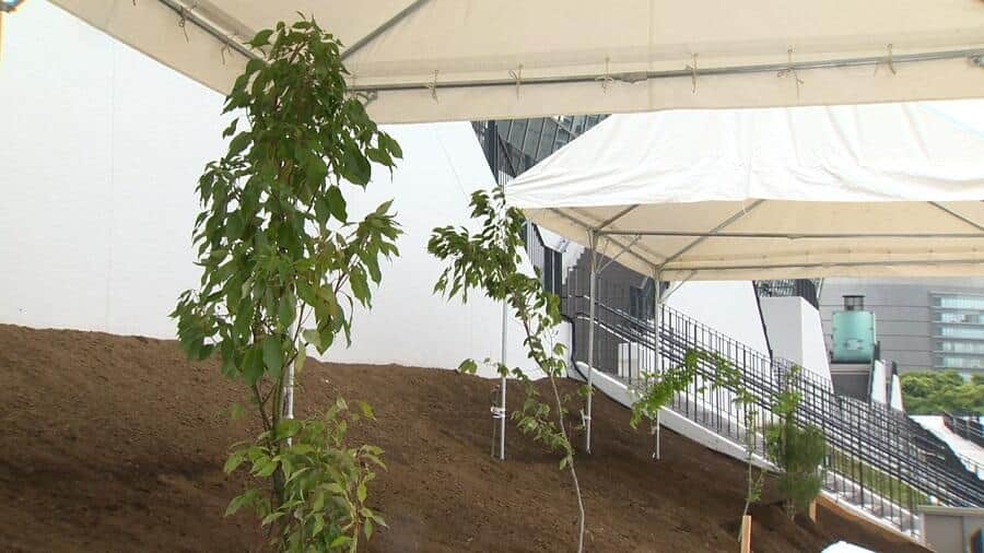 被災4県のシンボルツリーを植樹