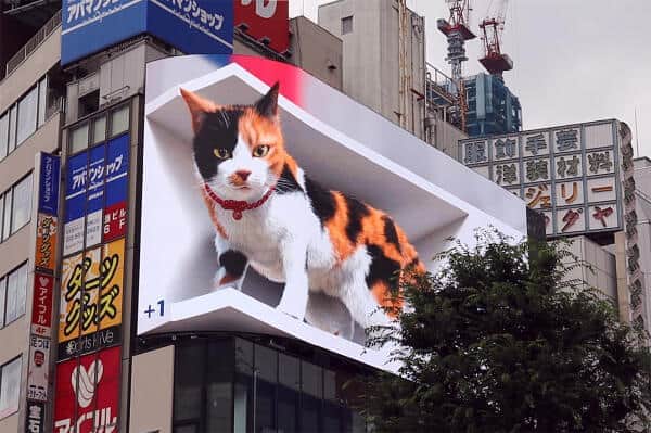ビルの大型ビジョンから巨大ネコが飛び出しそう　新宿駅前に3Dサイネージ