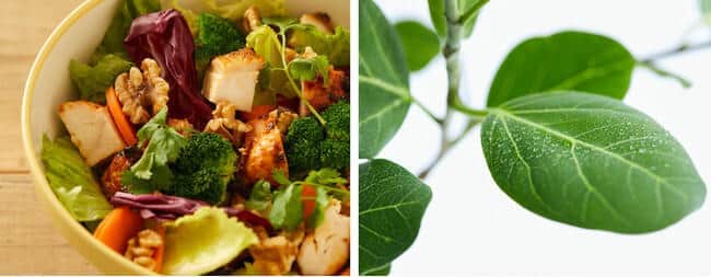 埼玉県川口市にある「アリオ川口」に複合店を10月初旬にオープン