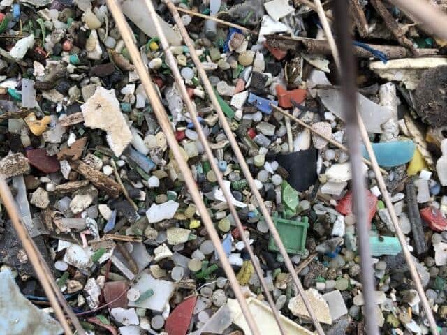 海洋のプラスチックごみが深刻化している