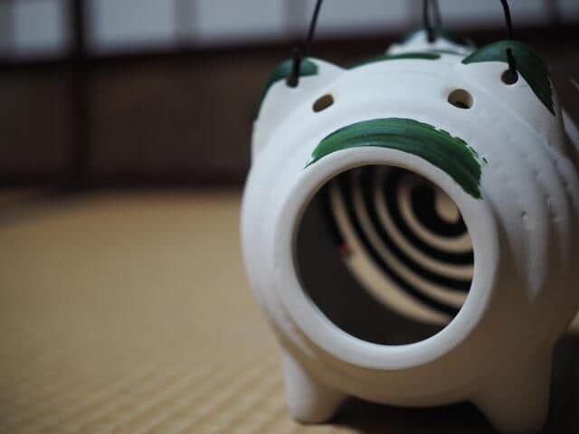 虫に好かれる人　高田聖子さんはハッカ油で武装するもハエに降参