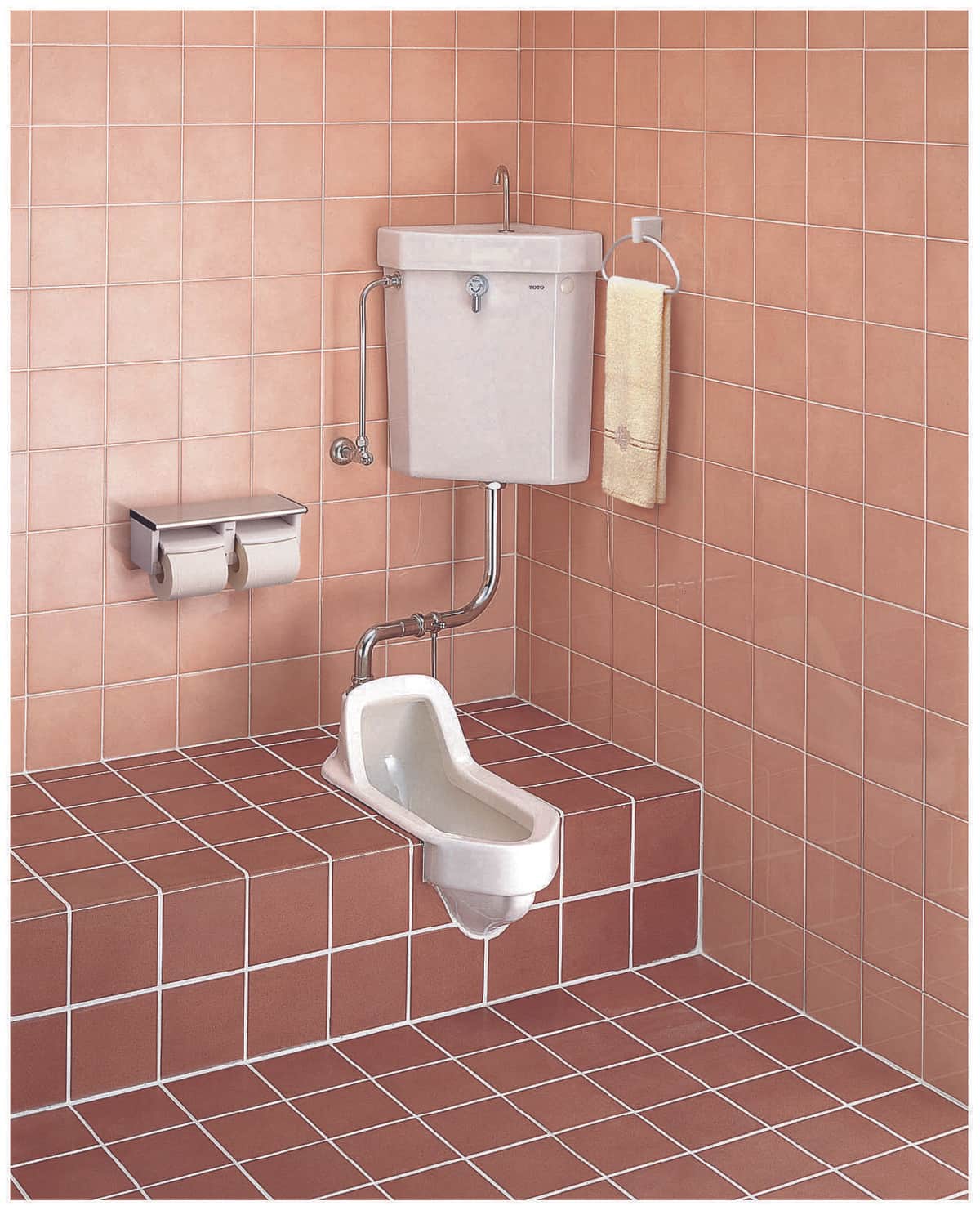 「和式トイレ」若者はイヤがる　公園や学校で見かけるも消滅する寸前