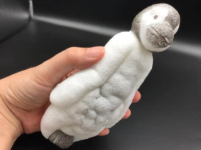 150時間が経過し、産まれたペンギン