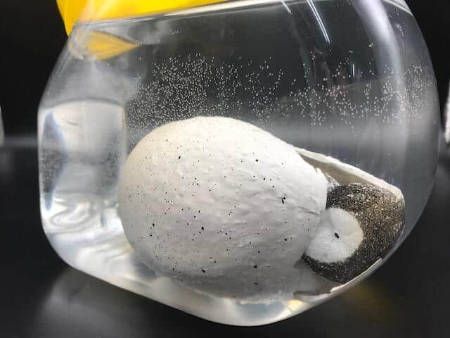 72時間が経過した状態