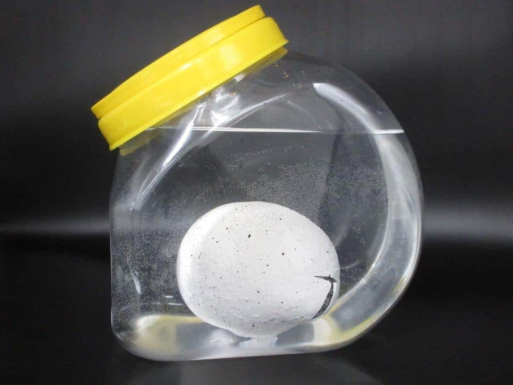 24時間が経過した状態（画像1）