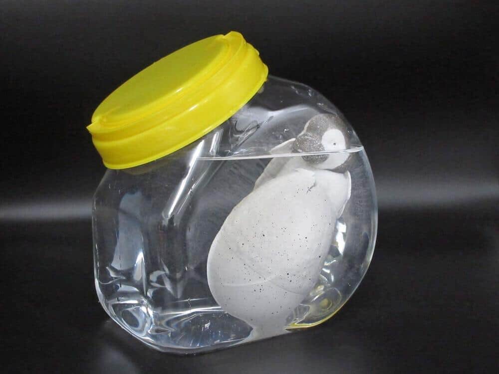 100時間が経過した状態（画像2）