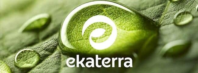 植物由来で生分解可能なプラスチックを使用したティーバッグを一部製品で使用する