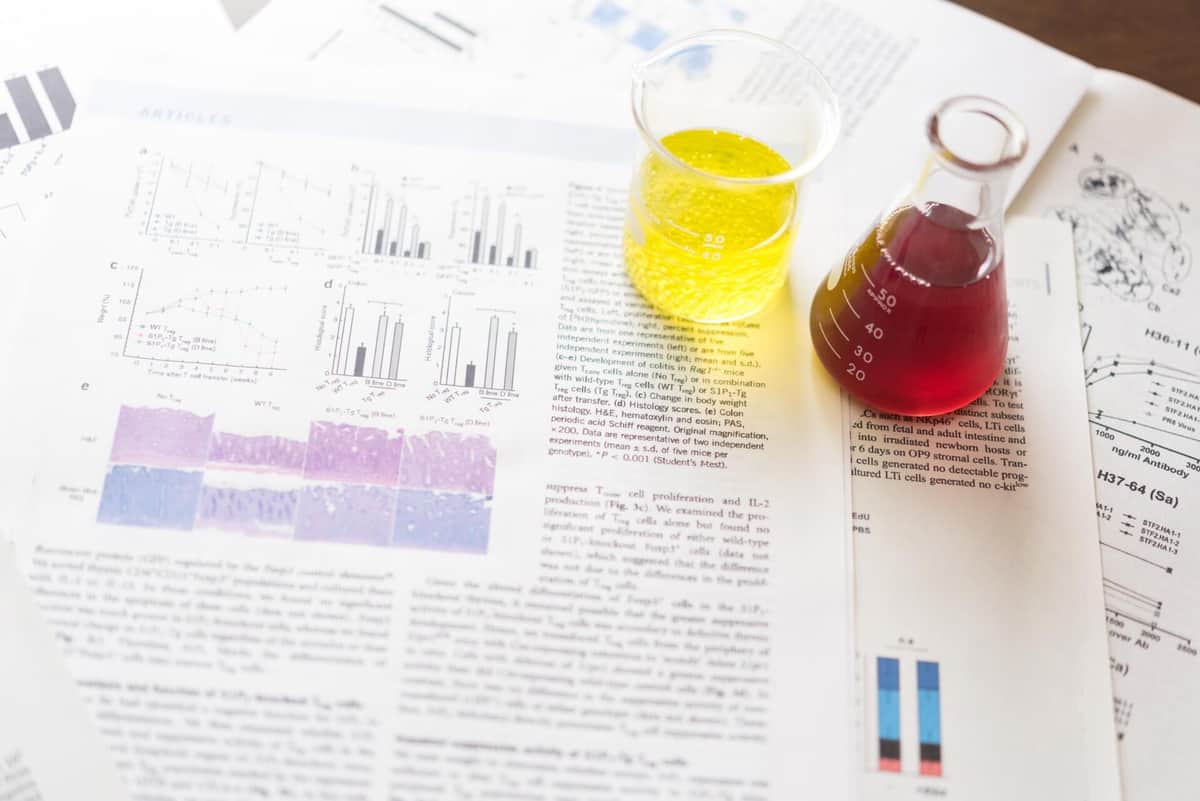 京都大で学者の研究不正　バレるのに論文のコピペや改ざん止まない背景
