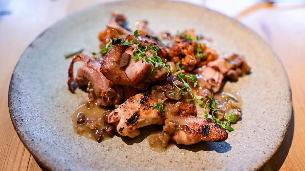 みやざき地頭鶏のグリル ～鶏きものカッチャトーラソース～