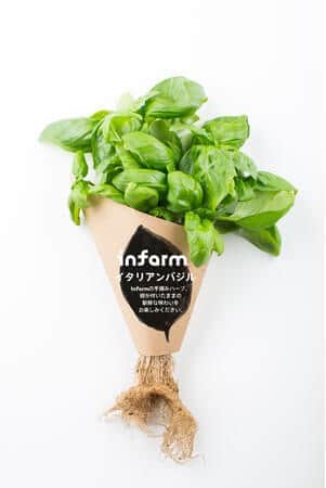 葉物野菜をミックスした「サラダブースター」2種とイタリアンバジルを展開