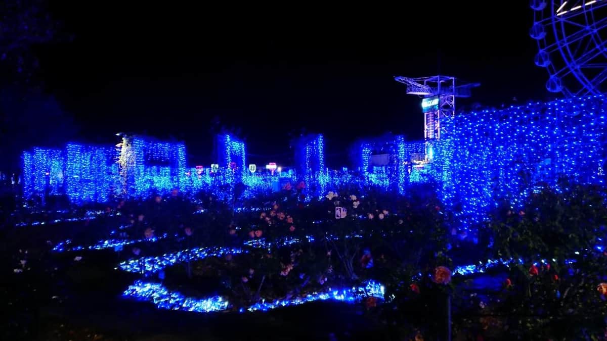 ハウステンボスの夜は美しい「光の街」