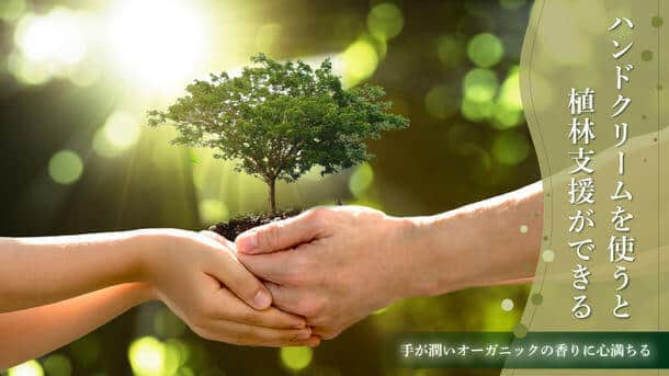 売り上げの一部を、英国アロマセラピーカンパニーの環境保全活動「Ecologiプロジェクト」に寄付する