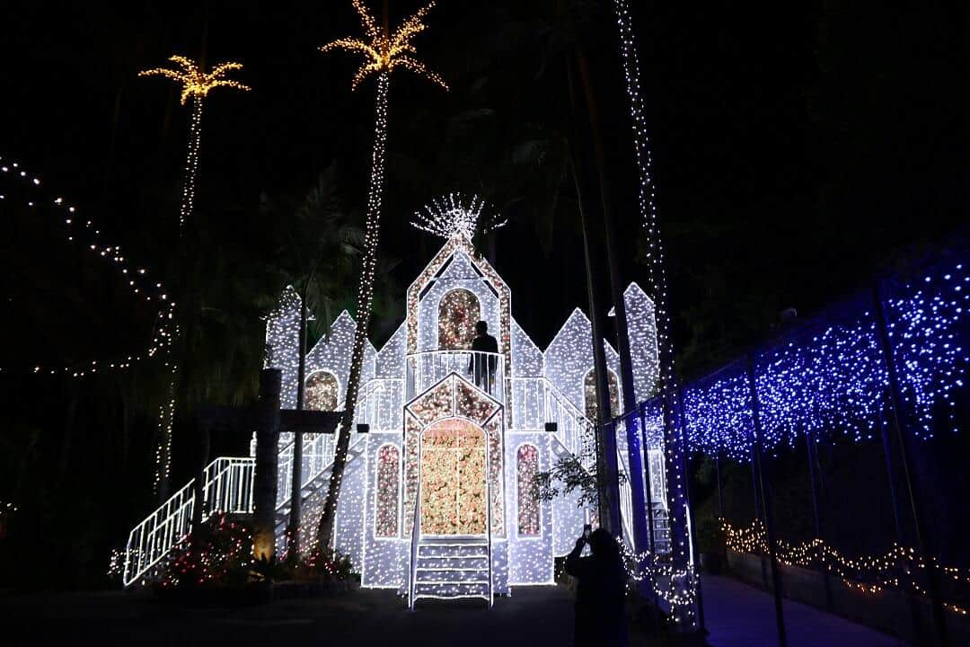 東南植物楽園は全国上位の実力派イルミネーションだ