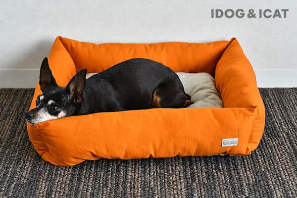 ペットボトルを再利用したサステナブルな素材を採用