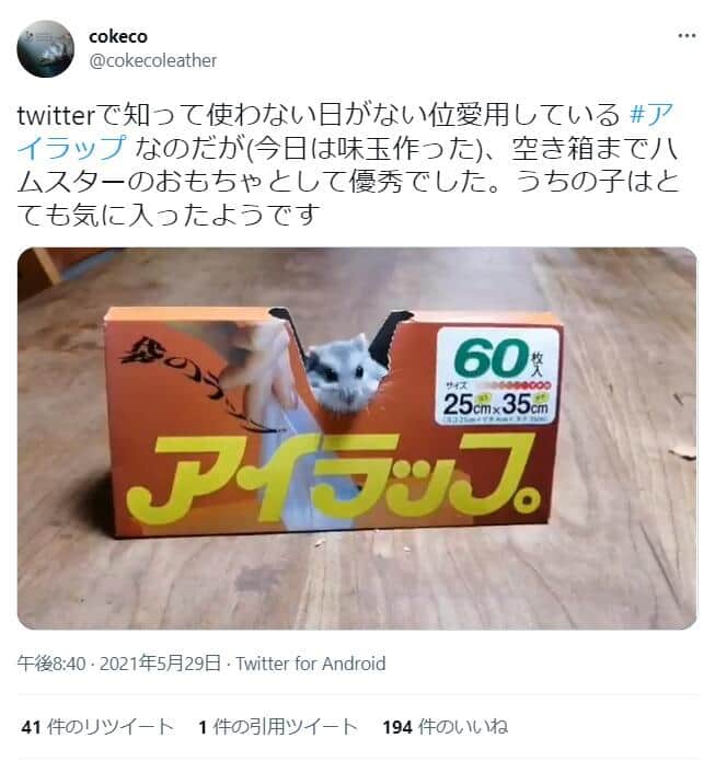 小さなペットの巣に「アイラップ」を　空き箱になっても大活躍