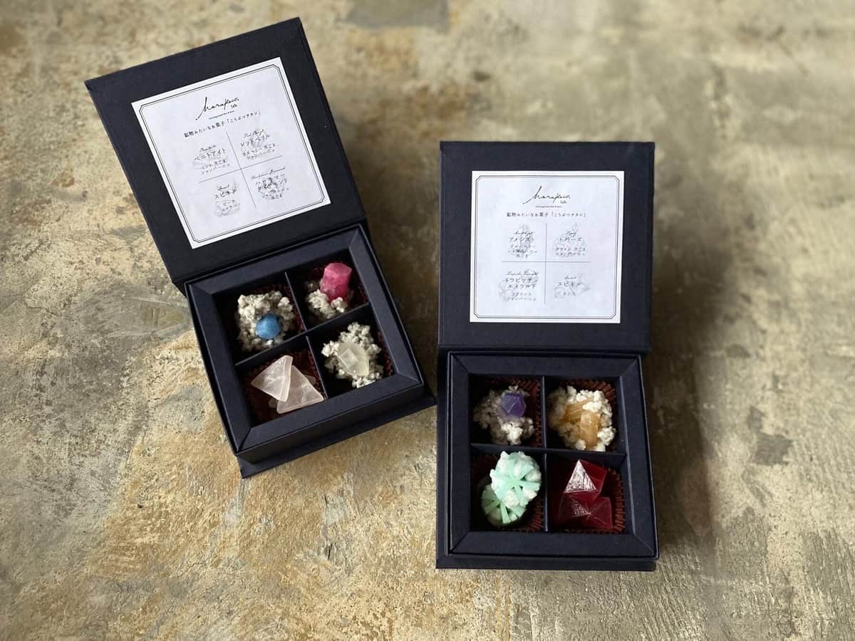 国立科学博物館の特別展「宝石」 コラボした「こうぶつヲカシ