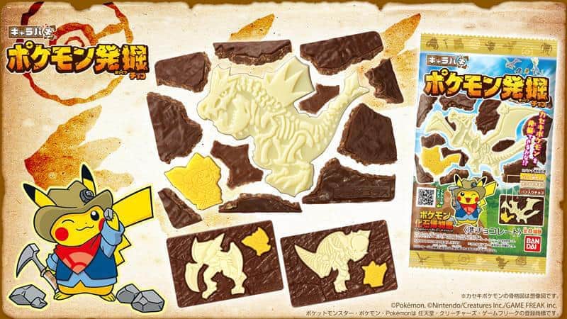 「カセキポケモン」を楽しく・おいしく発掘