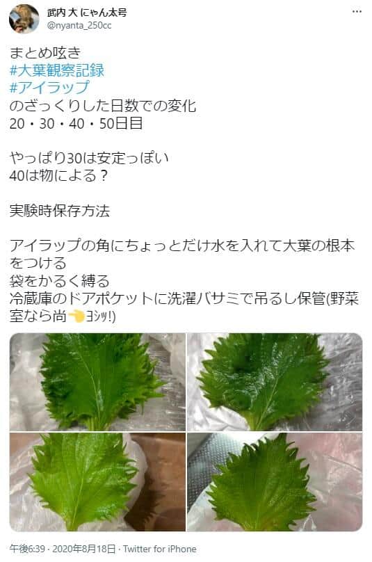 アイラップを使い、大葉を保存