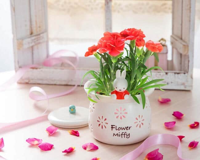 「フラワーミッフィー」母の日ギフト　インテリア照明にもなる陶器ポット