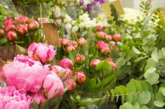 美しい花々（画像と記事は関係ありません）