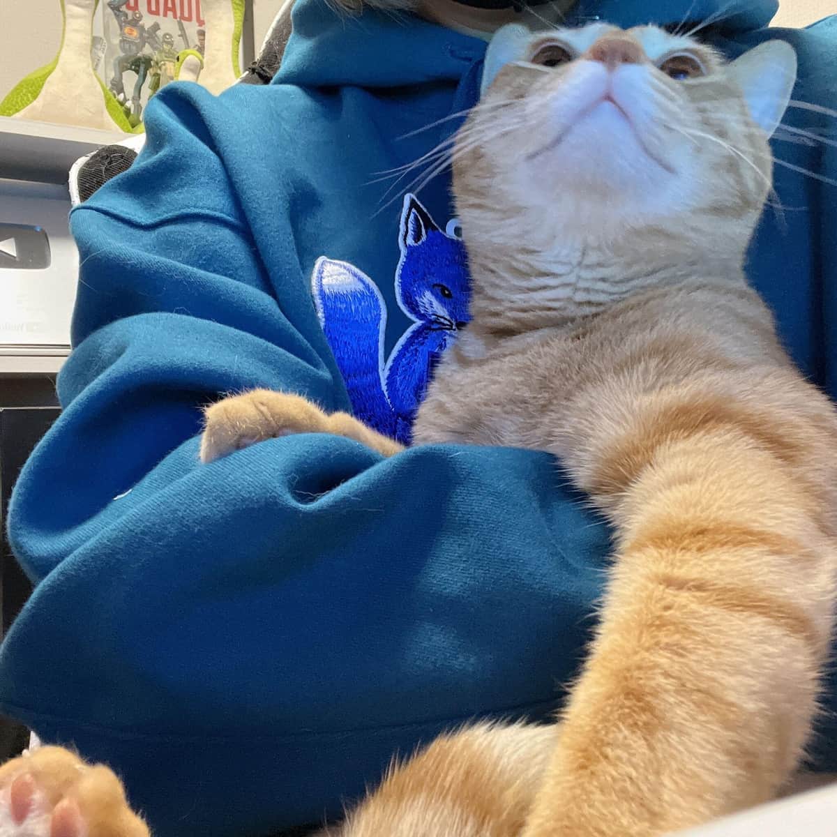 熱中が止まりません