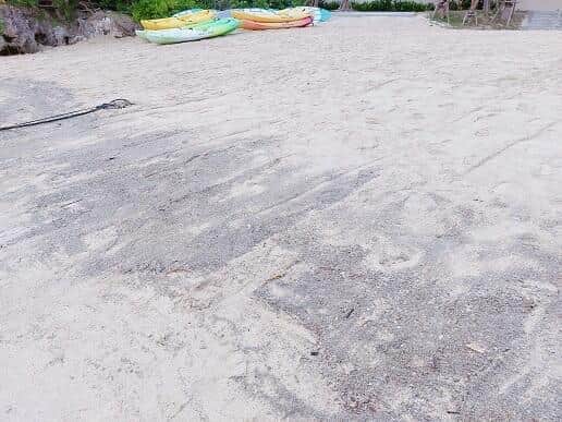 軽石によって、海や砂浜の景観が損なわれている