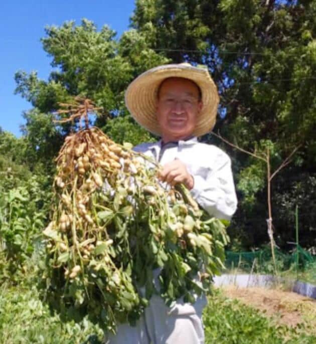 神崎落花生生産者・村上氏