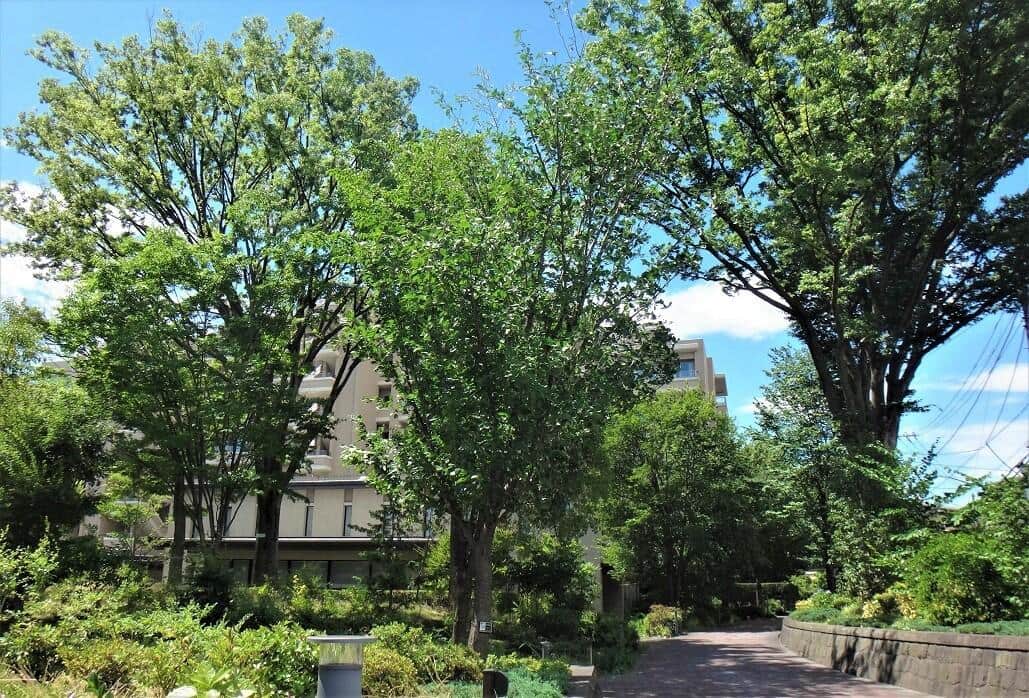 緑色の効用　壇蜜さんは有名ホラー映画の絶叫シーンで救われた