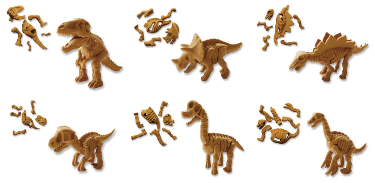 バラバラの化石型消しゴムを組み立てる　「復元 化石恐竜消しゴム」