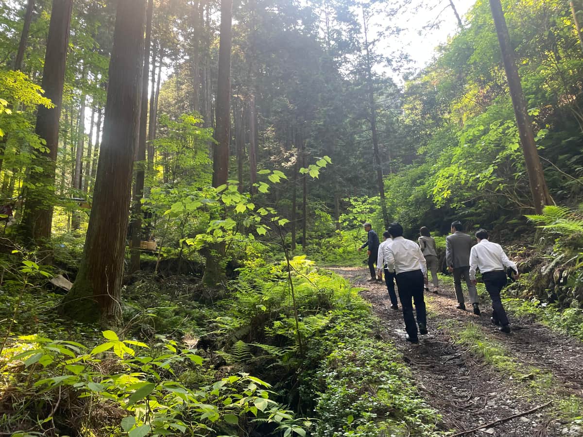 浅見代表案内のもと、「西川材」となる木々を見学（写真提供：乃村工藝社）