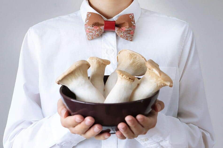 彦摩呂プロデュース「グルメな革の蝶ネクタイ・キノコ柄」