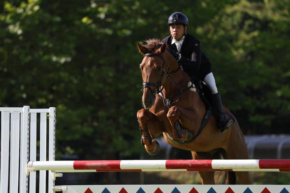 「一眼カメラで動物撮影」ペット以外にも　キヤノン「動物優先」機能に「馬」追加