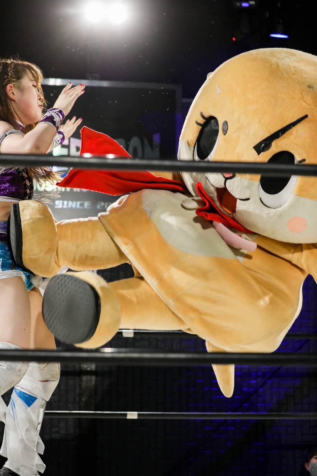 ちいたんドロップキック炸裂