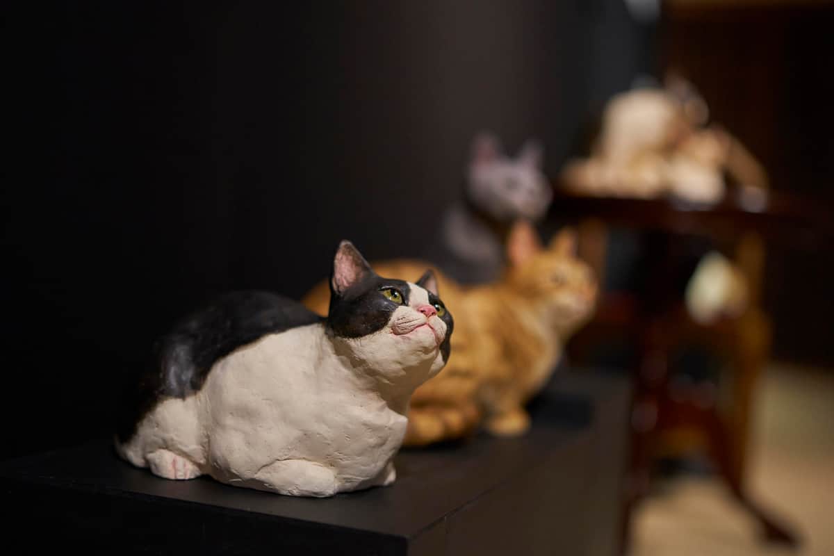 猫、猫、猫、猫、猫！　文化財「百段階段」で太宰治や中島敦らの作品表現