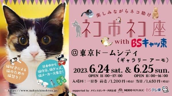 保護猫イベント「ネコ市ネコ座」　猫の命「直接救うことに役立つイベント」