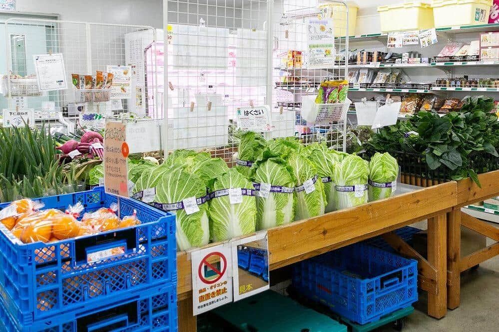 会場は横浜市にある公園「象の鼻パーク」