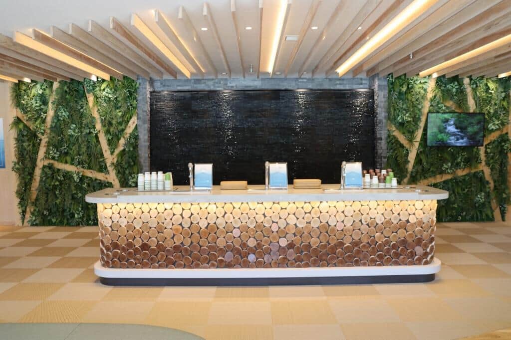 
「湖天の湯」の入り口にある水飲み場。炭酸水もチョイスできる