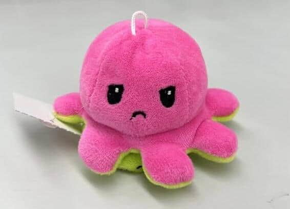 怒った顔もかわいい／提供：ファミリーショップなとう