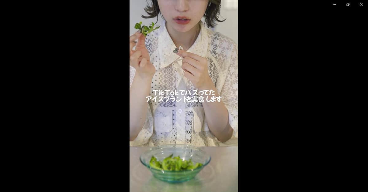 TikTokで人気の野菜「アイスプラント」　「ASMR」で「プチプチ」音が気になる