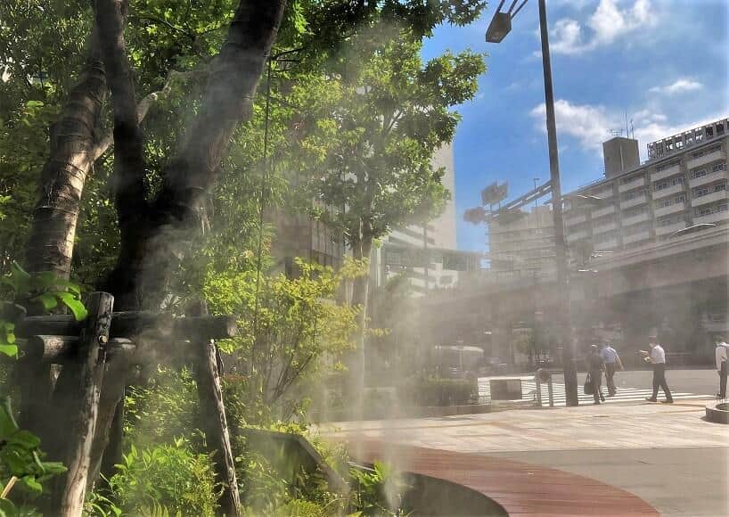 異常な酷暑　清水克行さんが「追体験は近い」とする昔人の苦心