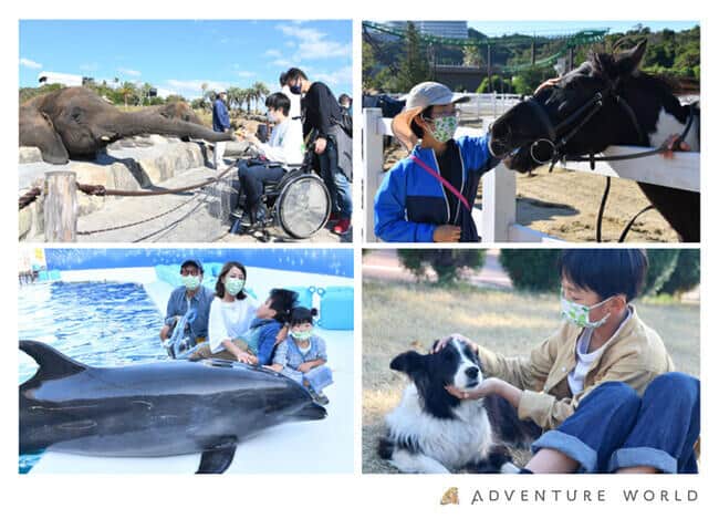 2017年から開催し、今年で６回目となる「ドリームデイ・アット・ザ・ズー」