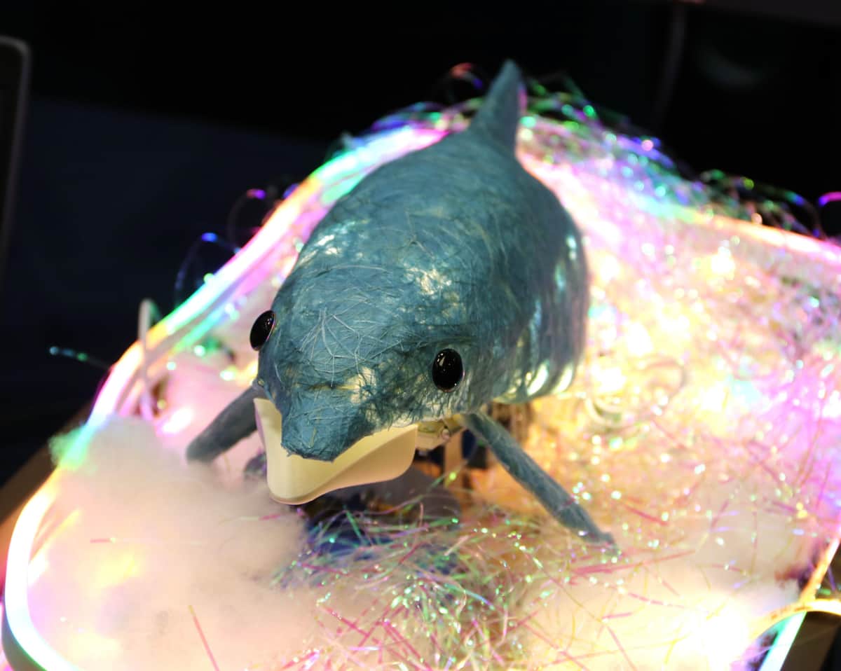 見た目もかわいい「アノ・いるか」。「お前を消す方法」は聞かずじまい