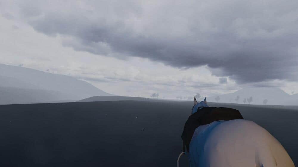 見渡す限りの「霧がかった荒野」を行く。馬の背に哀愁が漂う