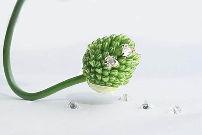 一つとして同じ形は存在せず、ダイヤモンドのありのままの姿を生かしている