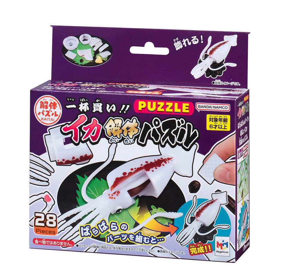 リアルな触感とともにイカの体の仕組みを楽しく学べる