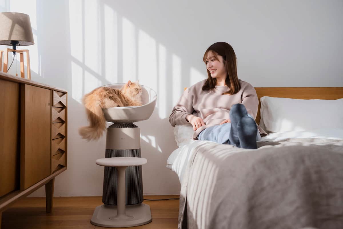 猫の健康管理もできる空気清浄機　キャットタワーを組み合わせた