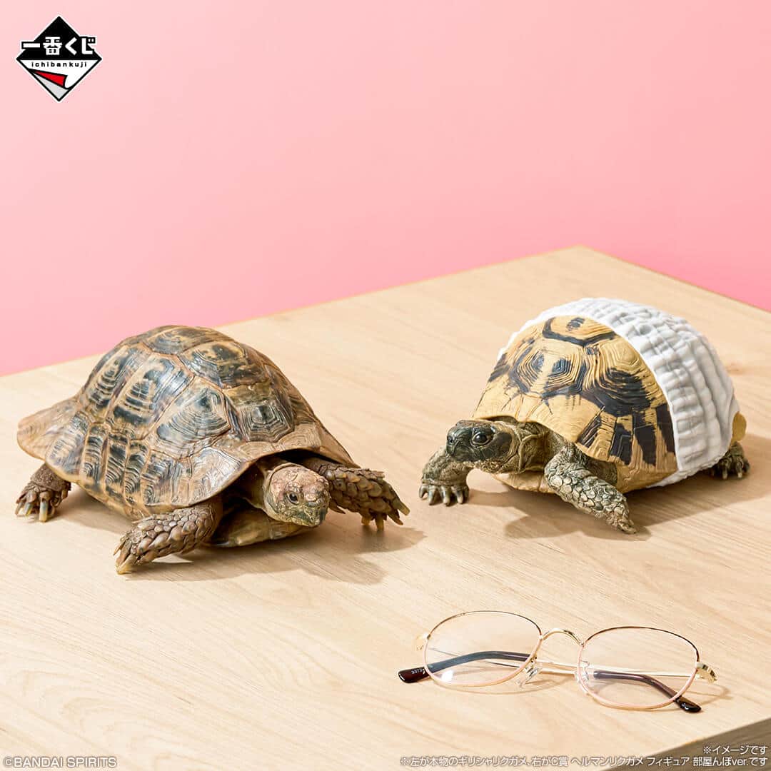 サイズ感もディテールも迫真のフィギュアなど必ず当たる