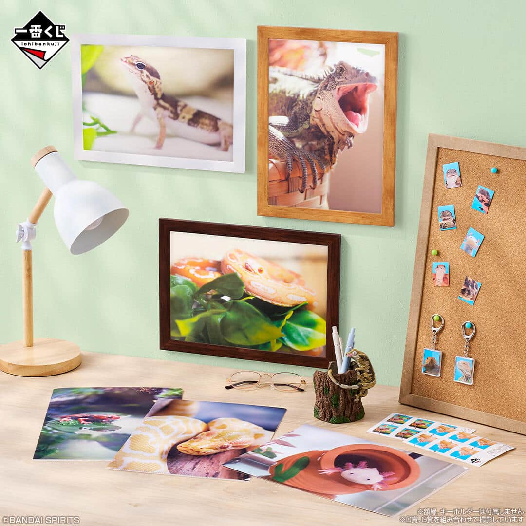 サイズ感もディテールも迫真のフィギュアなど必ず当たる