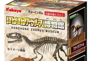 福井県で発掘された恐竜の化石がモチーフ　カバヤの食玩「ほねほねザウルス博物館」